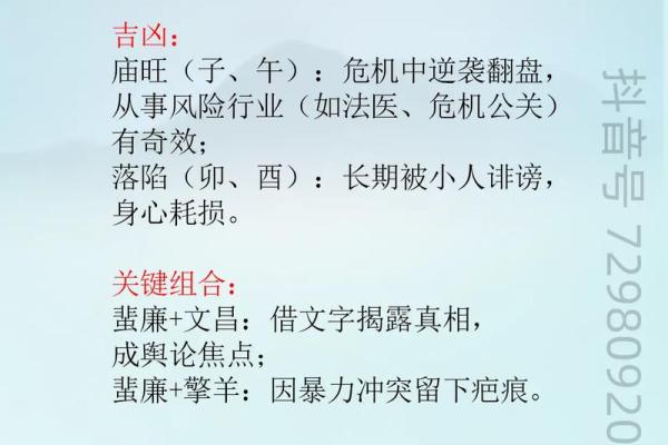 紫薇斗数旺陷平