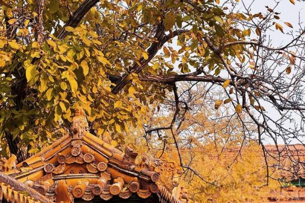 北京风水_为什么说故宫是龙脉之地