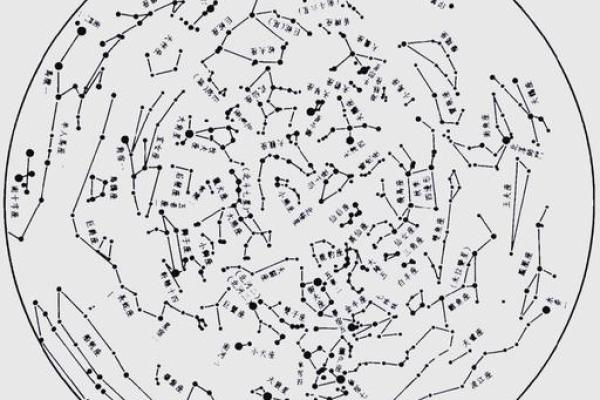 紫薇斗数小流连