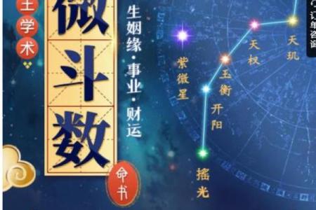 紫薇斗数精成大家