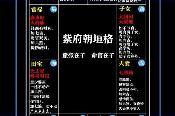 紫薇斗数详解软件