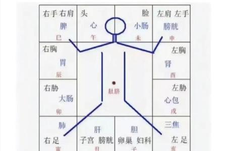 紫薇斗数身宫财帛