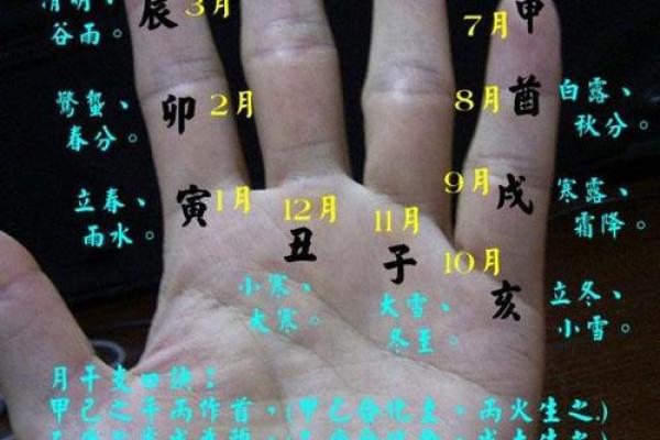 指纹算命,十个斗手指纹算命图解
