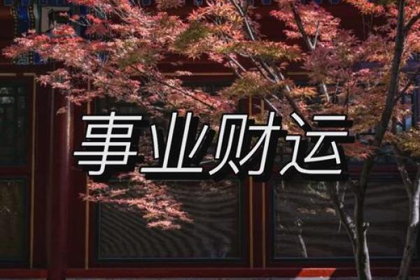 紫薇斗数看暴富