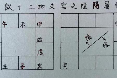 紫薇斗数阴阳属性