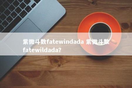 紫微斗数fatewindada 紫微斗数fatewildada？