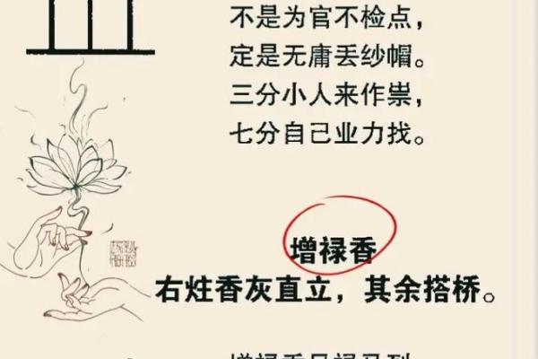算命里衣禄是什么意思