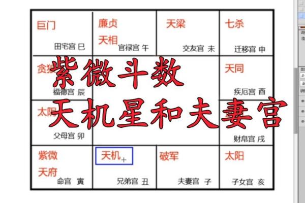 紫薇斗数化禄在夫妻宫