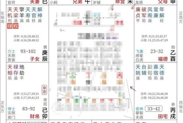 紫薇斗数化禄在夫妻宫