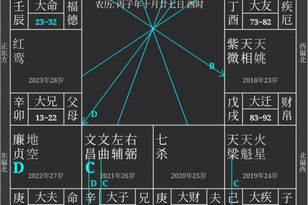 文墨天际紫薇斗数