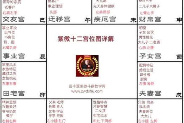 紫薇斗数流年事业运势