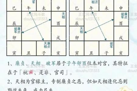 紫薇斗数子时按亥时