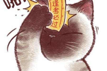 高考不得不信的十个风水剪头发有好运