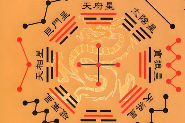 孔子的紫薇斗数星盘