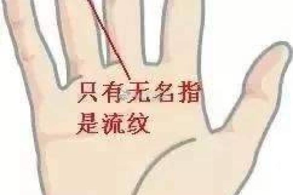 算命说是个小丫头命