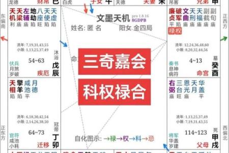 紫微斗数图录 紫薇斗数图？