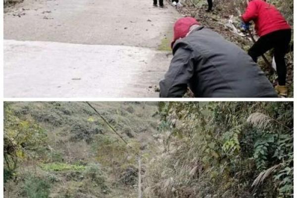 【八字详解】揭秘家乡发展趋势，看你是否能早日腾飞！