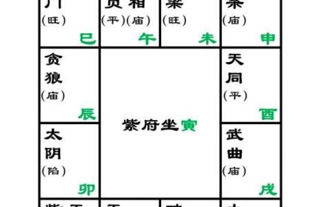 紫薇斗数看一生命运