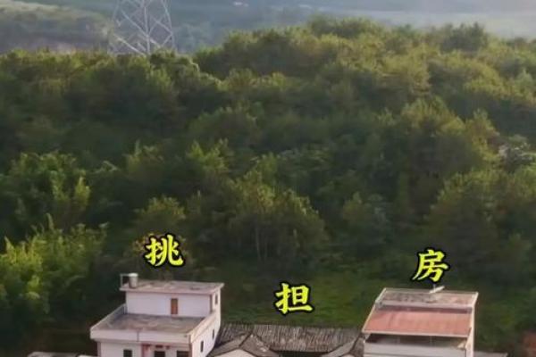 房子挂网上风水 房子挂网上风水