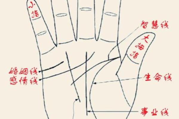 手相算命,女人手相成功线图解