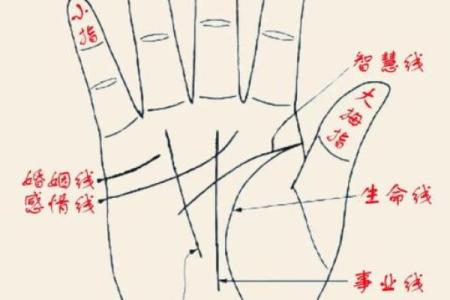 手相算命,女人手相成功线图解