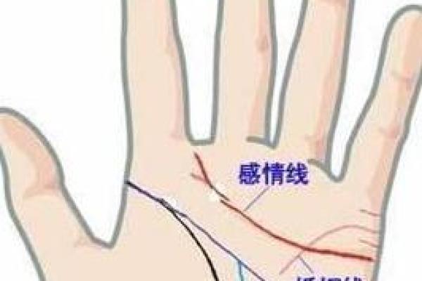 从手纹看姻缘 如何看手纹算命婚姻线? 从手纹看姻缘 如何看手纹算命婚姻线?