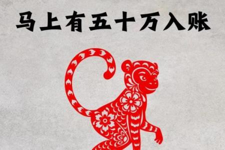 猴年的八字