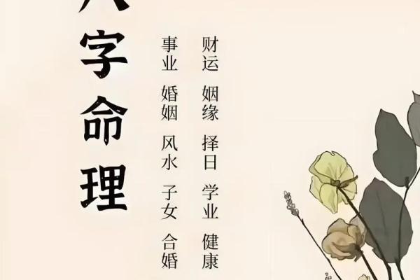 下载论八字 下载论八字