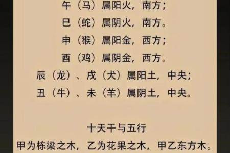 四柱八字全课程