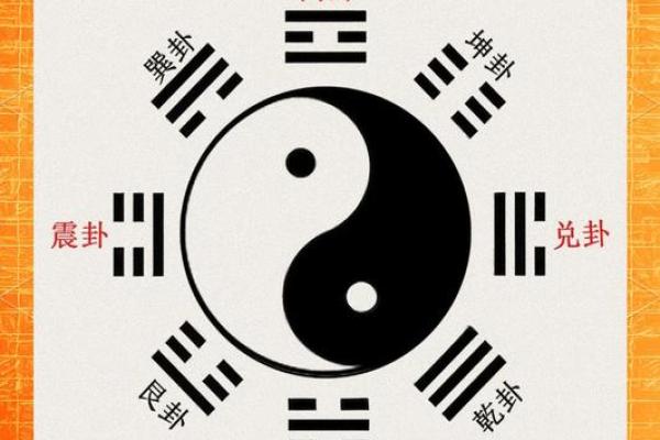 八字金男人 八字金男人