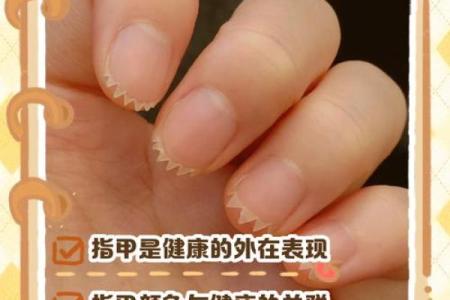 指甲 风水