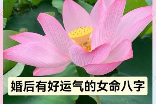 八字水多的女人运势究竟怎么样