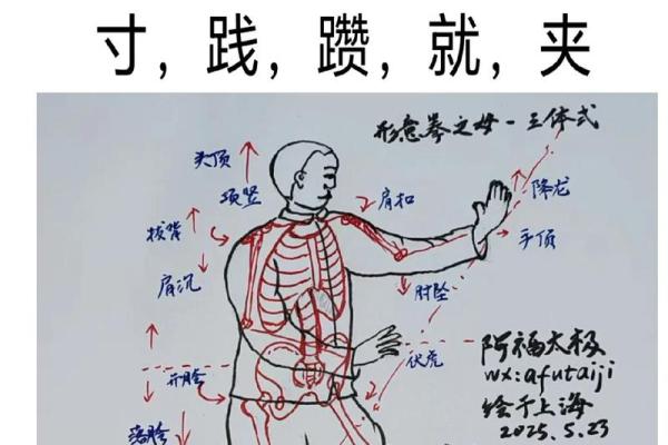 形意拳法——八字功