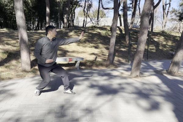 形意拳法——八字功